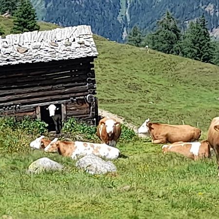 Ferienhaus Grofn Matrei in Osttirol Ngoại thất bức ảnh