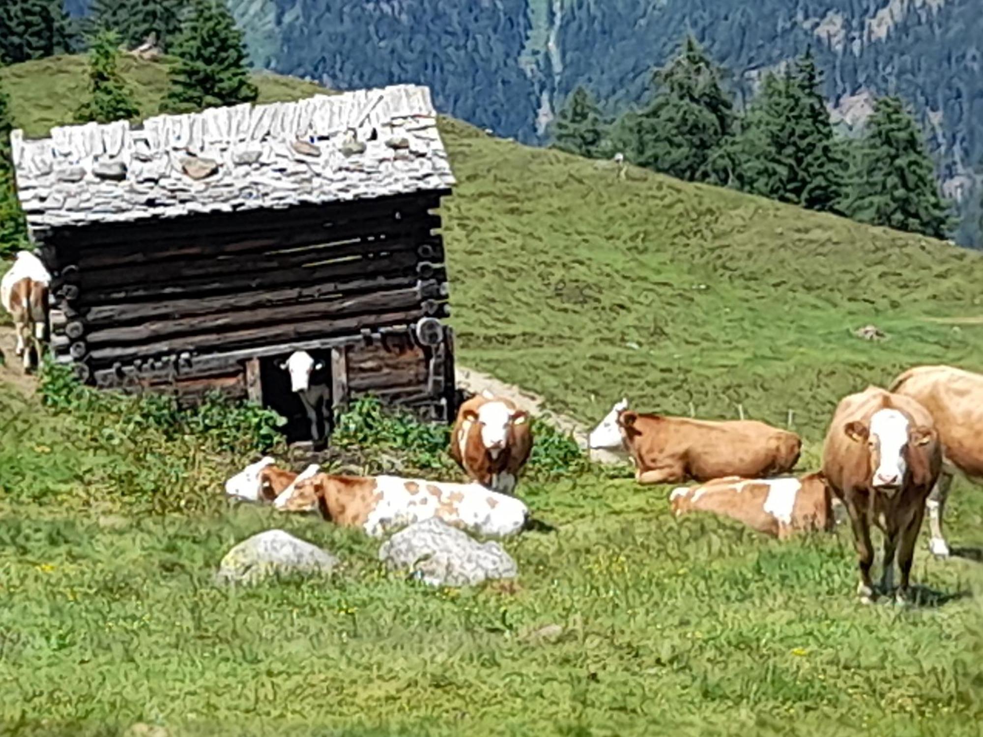 Ferienhaus Grofn Matrei in Osttirol Ngoại thất bức ảnh
